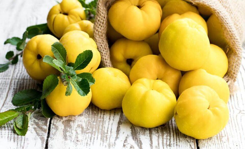 آشنایی با خواص به